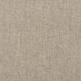 ZUO Welt Armchair Taupe & White