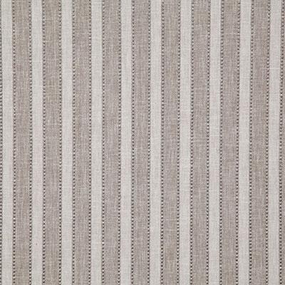 Pindler BEASLEY ASH Fabric