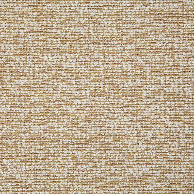 Pindler CAMP SOCK GOLD Fabric