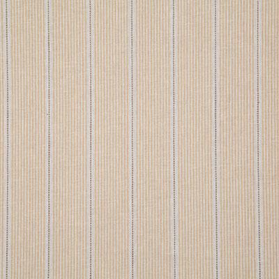 Pindler CARTWRIGHT MAIZE Fabric