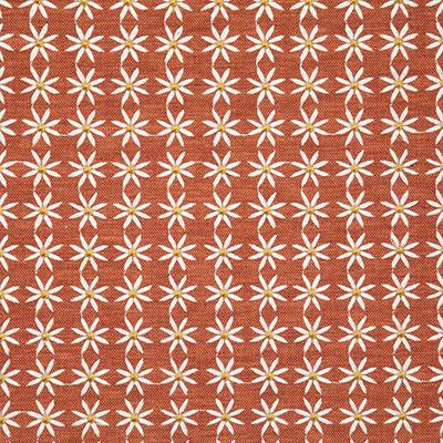 Pindler DAISY SPICE Fabric