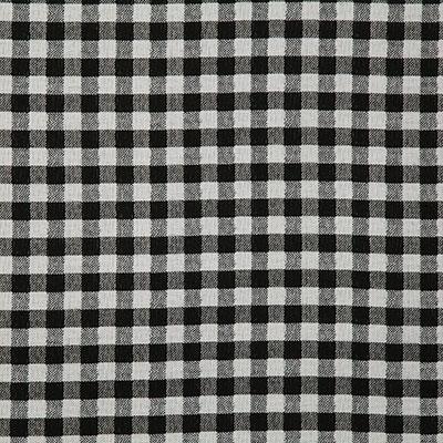 Pindler LITTLE GINGHAM DOMINO Fabric