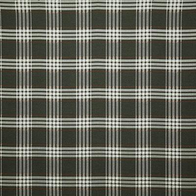 Pindler PACIFIC PLAID CEDAR Fabric