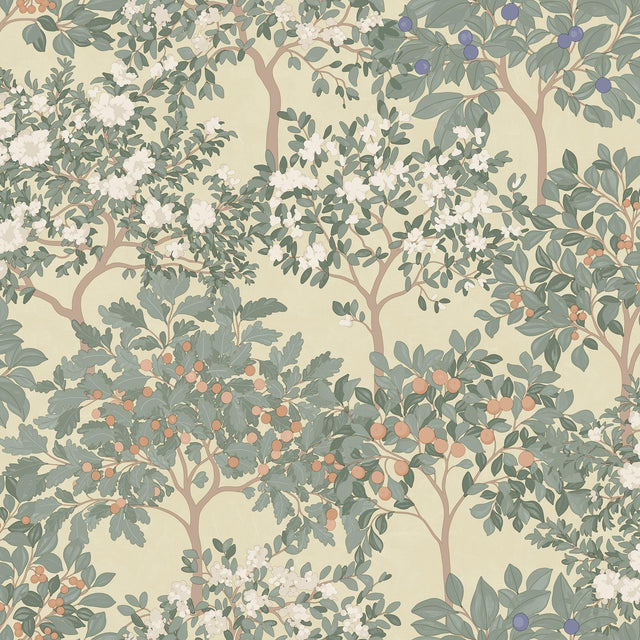 DecoratorsBest Arbor Serenade Green on Yellow Ground Wallpaper