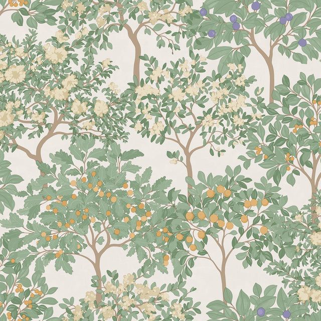 DecoratorsBest Arbor Serenade Cream Ground Wallpaper