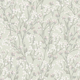 DecoratorsBest Blossom Branches Grey Green Wallpaper