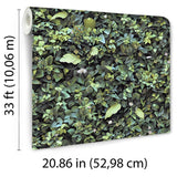 DecoratorsBest Evergreen Living Wall Wallpaper