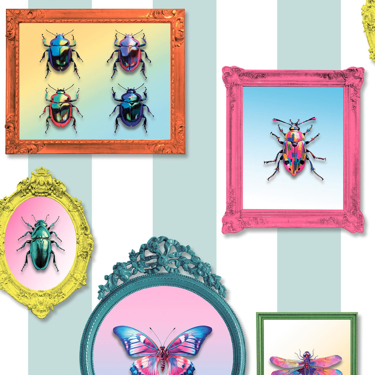 DecoratorsBest Entomology Gallery Blue Wallpaper