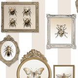 DecoratorsBest Entomology Gallery Beige Wallpaper