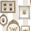 DecoratorsBest Entomology Gallery Beige Wallpaper