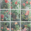 DecoratorsBest Rose Garden Window Trompe L'Oeil Green Wallpaper