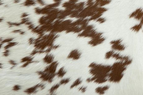 Furniture Classics Hyde Paris Flea Market Chair