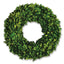 Napa Preserved boxwood BOXWOOD WREATH 16"