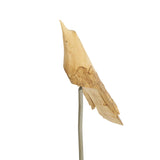 Napa Natural THE FLOCK, SET OF 3