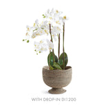 Napa Graywash BURMA RATTAN FOOTED CACHEPOT