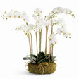 Napa White PHALAENOPSIS ORCHID BOWL DROP-IN 35"