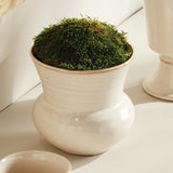 Napa Cream DELANEY POT LARGE