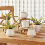 Napa Cream DEZIE MINI POTS, SET OF 6