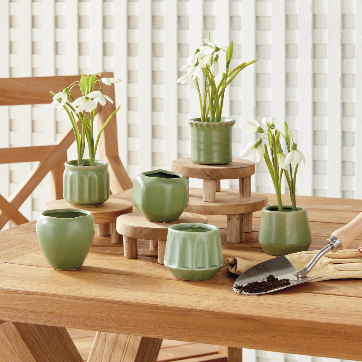 Napa Green DEZIE MINI POTS, SET OF 6
