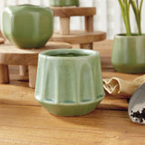 Napa Green DEZIE MINI POTS, SET OF 6