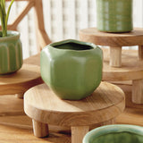 Napa Green DEZIE MINI POTS, SET OF 6
