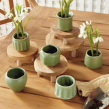 Napa Green DEZIE MINI POTS, SET OF 6