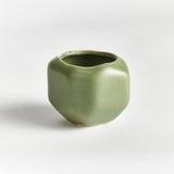 Napa Green DEZIE MINI POTS, SET OF 6