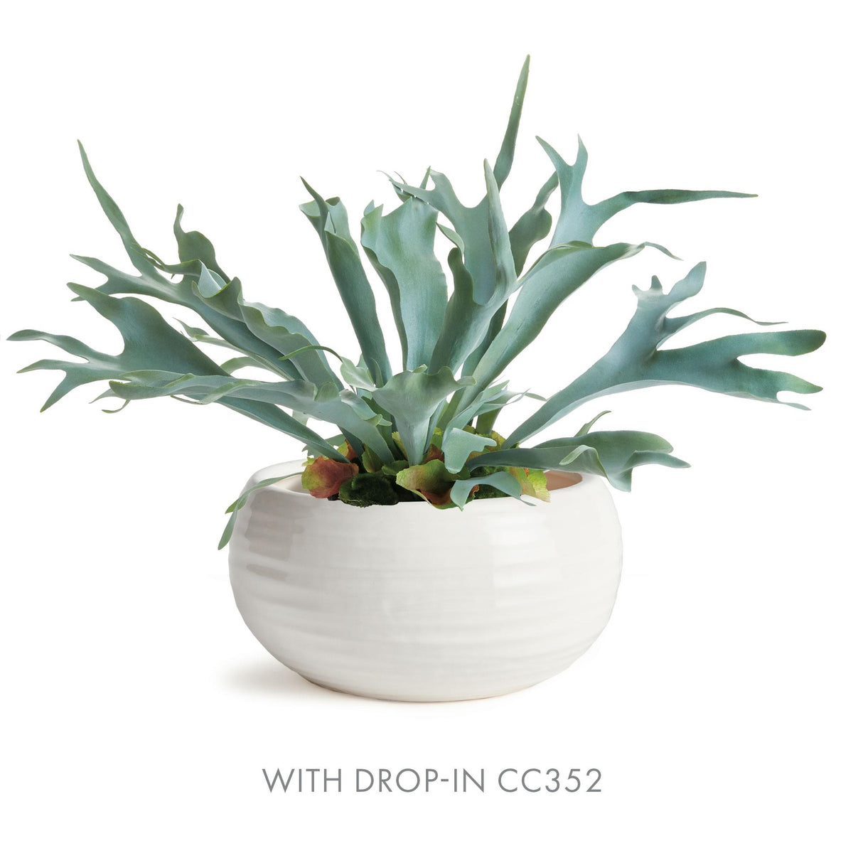 Napa Oatmeal ANDERSON DECORATIVE BOWL