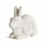 Napa Weathered Limestone Finish WEATHERED GARDEN RABBIT LARGE