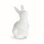 Napa White DAISY MAE BUNNY LARGE