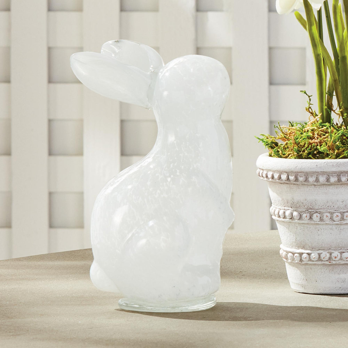Napa White DAISY MAE BUNNY LARGE
