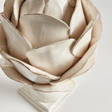 Napa White DI ROSA FINIAL