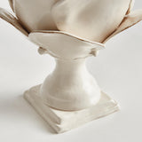 Napa White DI ROSA FINIAL