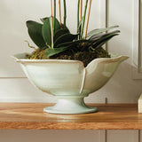 Napa Celadon PETALO DECORATIVE FOOTED BOWL