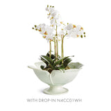 Napa Celadon PETALO DECORATIVE FOOTED BOWL