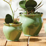 Napa Green MEGAN POTS, SET OF 2