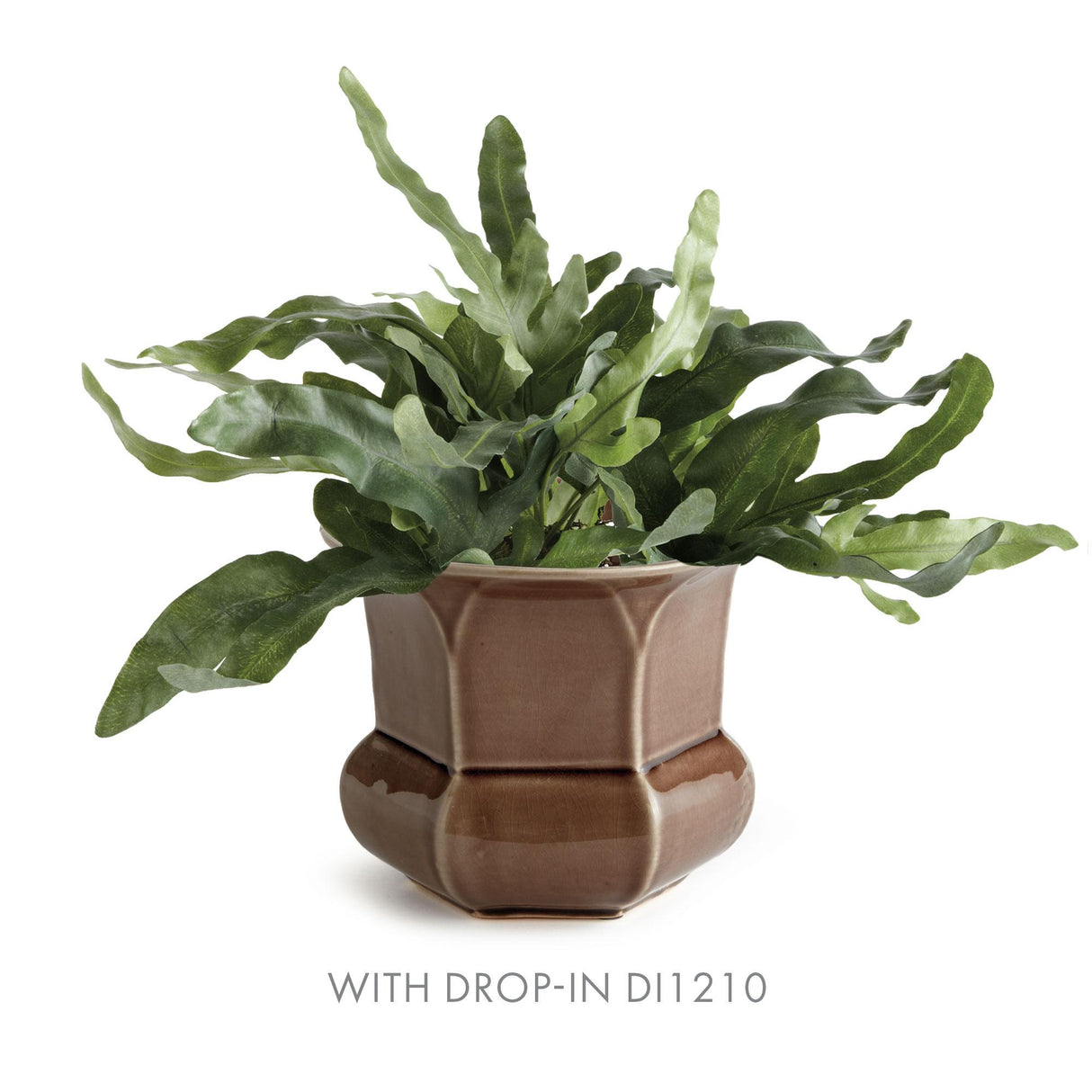 Napa Brown MADISON POT