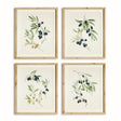 Napa Includes Mat OLIVE STEMS STUDY, SET OF 4