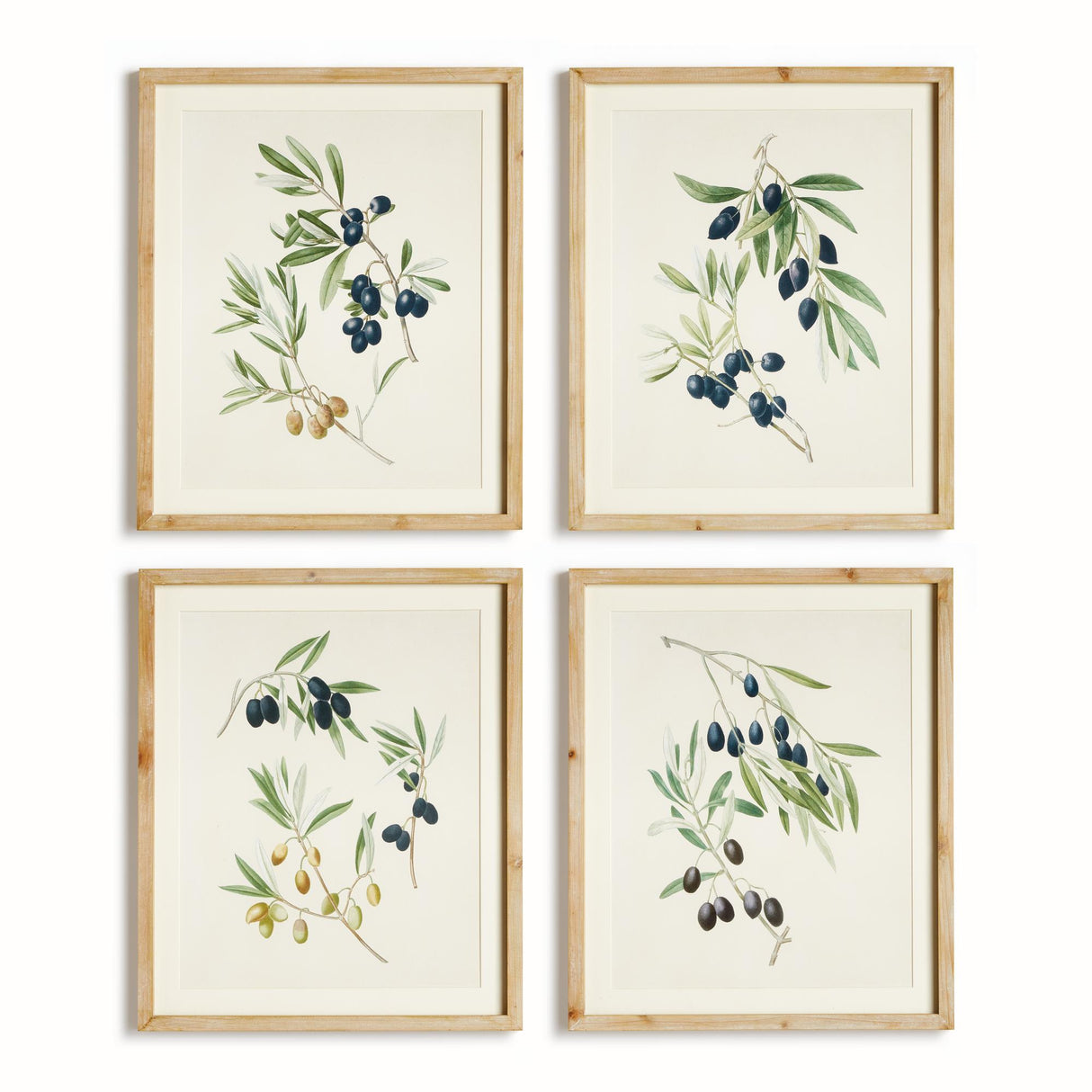 Napa Includes Mat OLIVE STEMS STUDY, SET OF 4