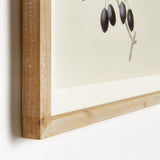 Napa Includes Mat OLIVE STEMS STUDY, SET OF 4