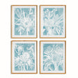 Napa Includes Mat PROTEA ABSTRACT PRINTS IN SOFT BLUE, SET OF 4