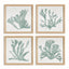 Napa FabricWrapped Frame CORAL SILHOUETTES IN SOFT GREEN, SET OF 4