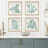Napa FabricWrapped Frame CORAL SILHOUETTES IN SOFT GREEN, SET OF 4