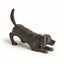 Napa Black/Bronze PLAYFUL DOG SCULPTURE