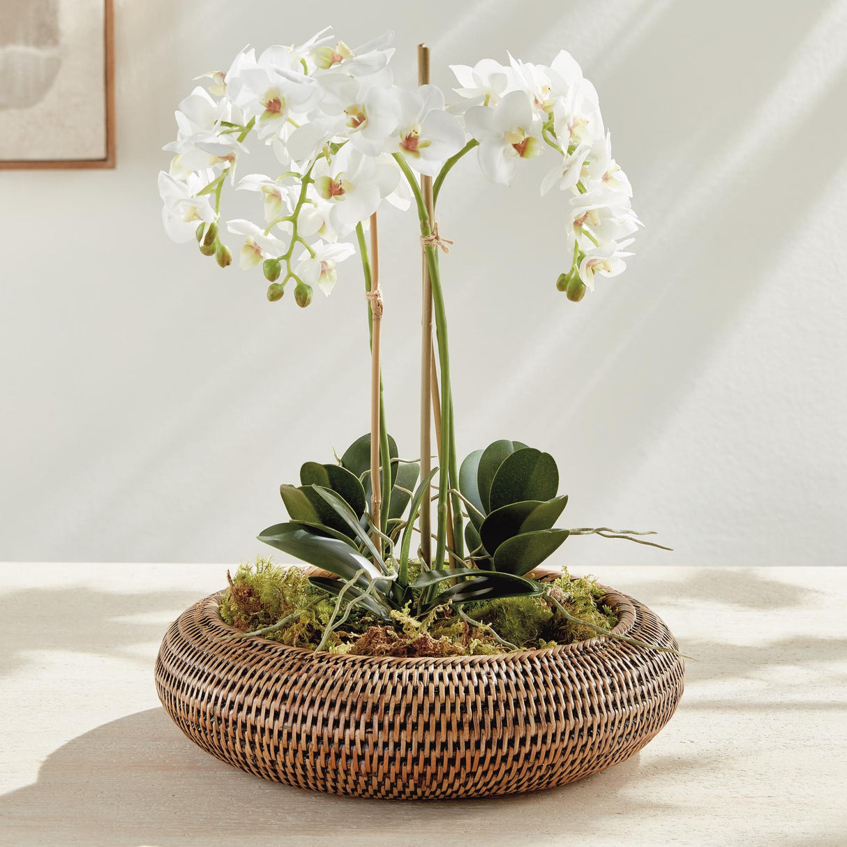 Napa Warm Brown BURMA RATTAN SHALLOW DISPLAY BOWLS, SET OF 2