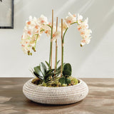 Napa Whitewash BURMA RATTAN SHALLOW DISPLAY BOWLS, SET OF 2