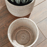 Napa Whitewash BURMA RATTAN CACHEPOTS LARGE, SET OF 2