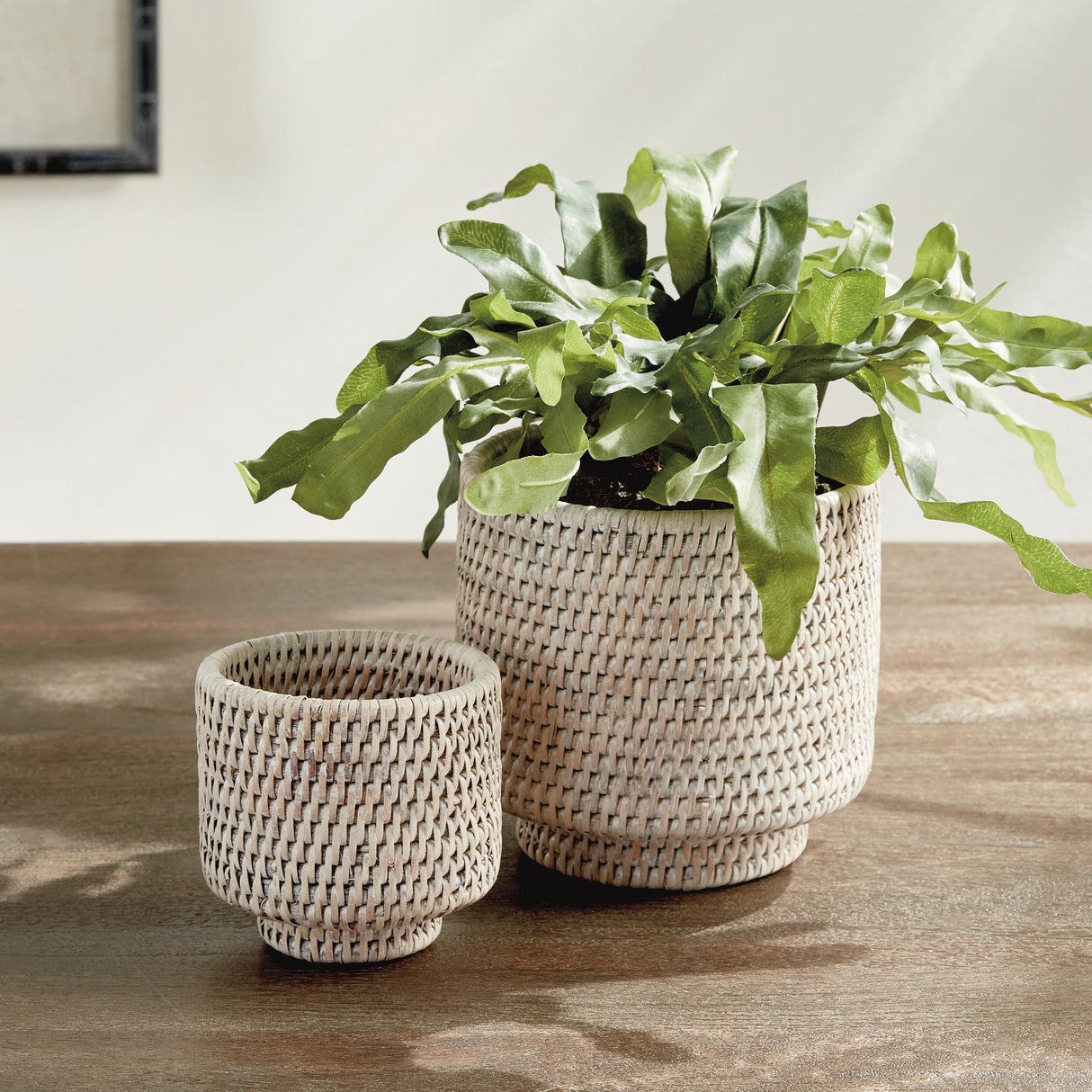 Napa Whitewash BURMA RATTAN CACHEPOTS SMALL, SET OF 2