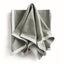 Napa Green/White FERNBROOK DINNER NAPKINS, SET OF 4