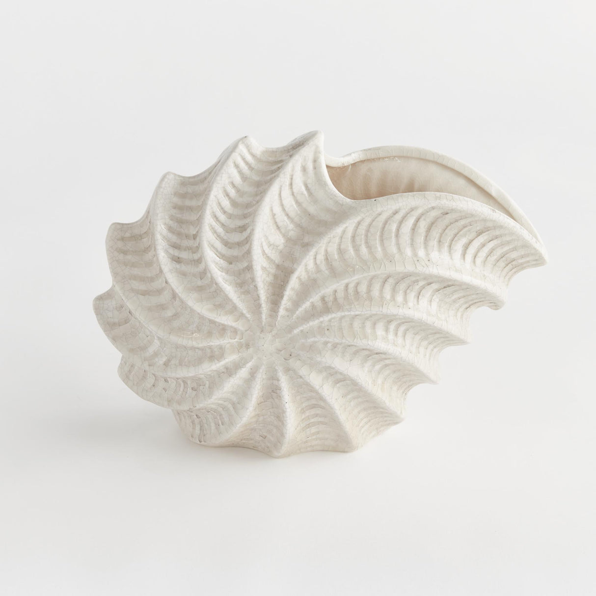 Napa Cream NAUTILUS SHELL VASE